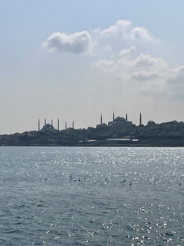 Istanbul from the water - Bosphorus Cruise